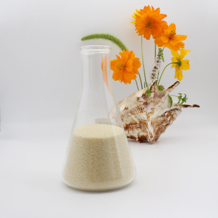 2024 Best Selling Beef Skin Halal Gelatin China Supplier
