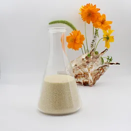 2024 Best Selling Beef Skin Halal Gelatin China Supplier